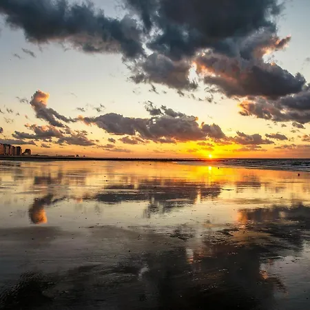 Beachside Eco Retreat, Cleaning Included Daire *